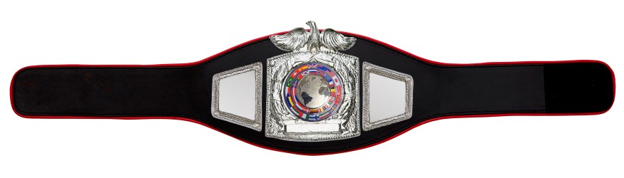 PROEAGLE SILVER WORLD FLAGS CHAMPIONSHIP BELT - PROEAGLE/S/FLAGS - AVAILABLE IN 6+ COLOURS
